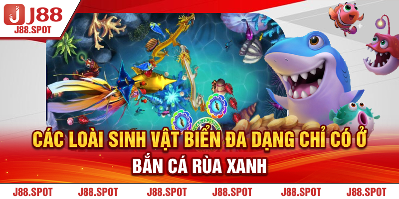 Các loài sinh vật biển đa dạng chỉ có ở Bắn Cá Rùa Xanh 