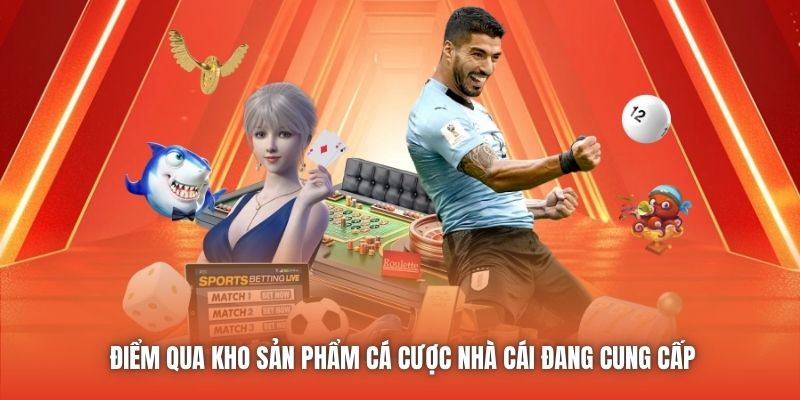 Điểm qua kho sản phẩm cá cược nhà cái đang cung cấp