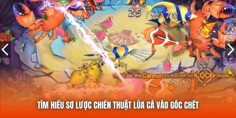 Tìm hiểu sơ lược chiến thuật lùa cá vào góc chết